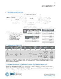 SQE48T50012-NDBKG數據表 頁面 13