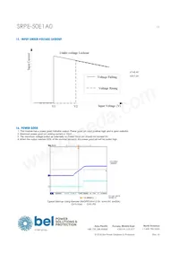 SRPE-50E1A0G Datasheet Pagina 13