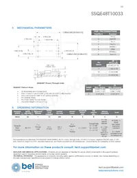 SSQE48T10033-NACCG數據表 頁面 13