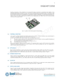 SSQE48T13050-PAA0G Datasheet Pagina 9