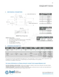 SSQE48T15033-NACNG數據表 頁面 13