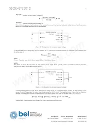 SSQE48T25012-NAAN Datasheet Page 5