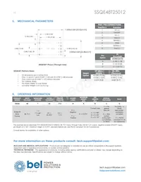 SSQE48T25012-NAAN Datasheet Pagina 12