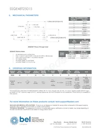 SSQE48T25015-NAANG 데이터 시트 페이지 13