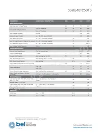 SSQE48T25018-PAAN Datasheet Pagina 3