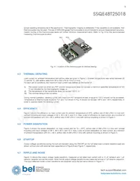 SSQE48T25018-PAAN 데이터 시트 페이지 9