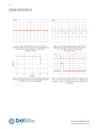 SSQE48T25018-PAAN Datenblatt Seite 12