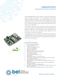 SSQE48T25025-NACNG Datenblatt Cover