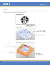 XQAROY-00-0000-000000703 Datasheet Page 18