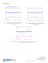 YEV09T10-RG Datasheet Page 6