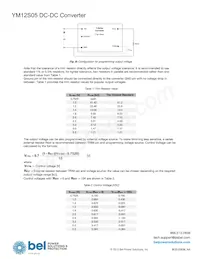 YM12S05 Datasheet Page 5