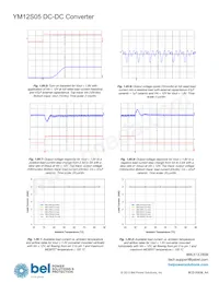 YM12S05 Datasheet Page 14