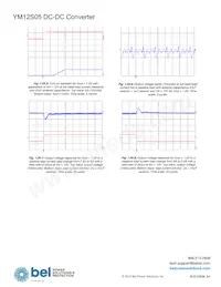 YM12S05 Datasheet Page 18