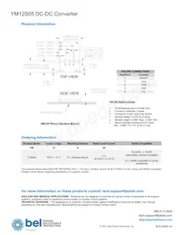 YM12S05 Datasheet Page 19