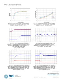 YNL12S10050-0G Datasheet Pagina 12