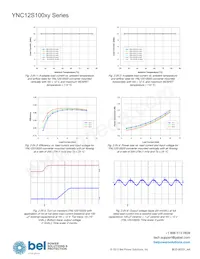 YNL12S10050-0G 데이터 시트 페이지 13