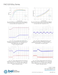 YNL12S10050-0G Datenblatt Seite 16