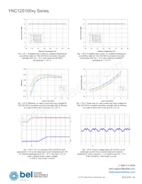 YNL12S10050-0G 데이터 시트 페이지 17