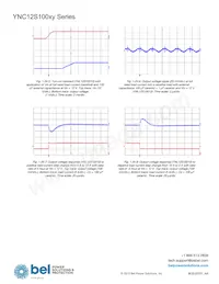 YNL12S10050-0G Datasheet Pagina 19