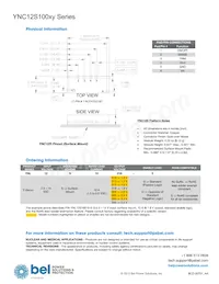 YNL12S10050-0G Datasheet Pagina 20