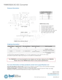 YNM05S05 Datasheet Page 19