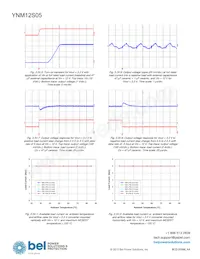 YNM12S05-G Datasheet Pagina 10