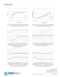 YNM12S05-G Datasheet Page 11