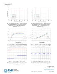 YNM12S05-G Datasheet Pagina 12