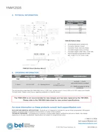 YNM12S05-G Datasheet Page 19