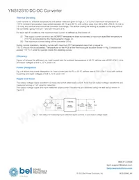 YNS12S10-0 Datasheet Page 8