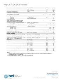 YNS12S16-DG Datasheet Page 3