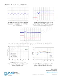 YNS12S16-DG數據表 頁面 11