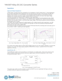 YNV05T10033-D Datasheet Page 4