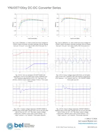 YNV05T10033-D Datasheet Page 12