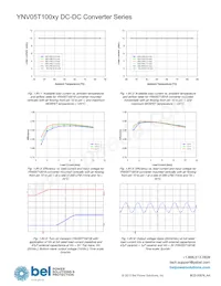 YNV05T10033-D Datasheet Page 13