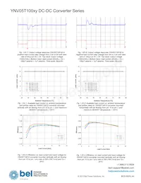 YNV05T10033-D Datasheet Page 14