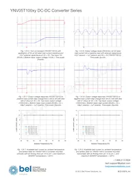 YNV05T10033-D Datasheet Page 15