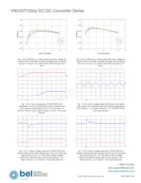 YNV05T10033-D Datasheet Page 16