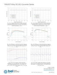 YNV05T10033-D Datasheet Page 17