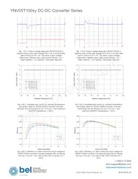 YNV05T10033-D Datasheet Page 18