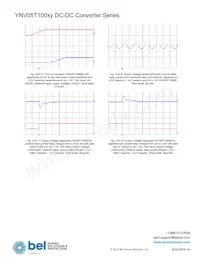 YNV05T10033-D Datasheet Page 19