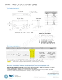 YNV05T10033-D Datasheet Page 20