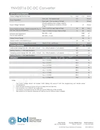 YNV05T16-0 Datasheet Page 3
