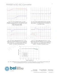 YNV05T16-0 Datasheet Page 15