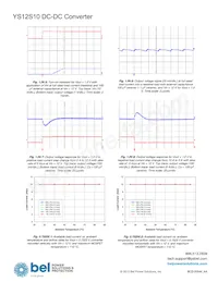 YS12S10-D Datasheet Page 19