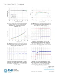 YS12S16-0G-Q Datasheet Pagina 13