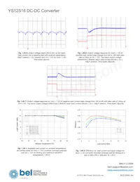 YS12S16-0G-Q Datasheet Pagina 15