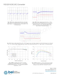 YS12S16-0G-Q Datenblatt Seite 19