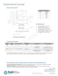 YS12S16-0G-Q Datenblatt Seite 21