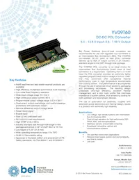 YV09T60-0G Datasheet Copertura